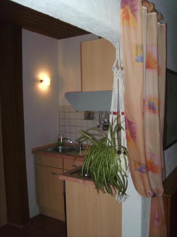 Ferienwohnung Evangeline Borsch Zell an der Mosel Dış mekan fotoğraf